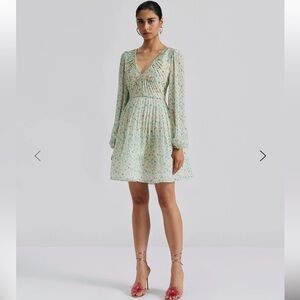 NWT Malina ESTELLE MINI DRESS
V-neck mini dress with pleated details. Medium